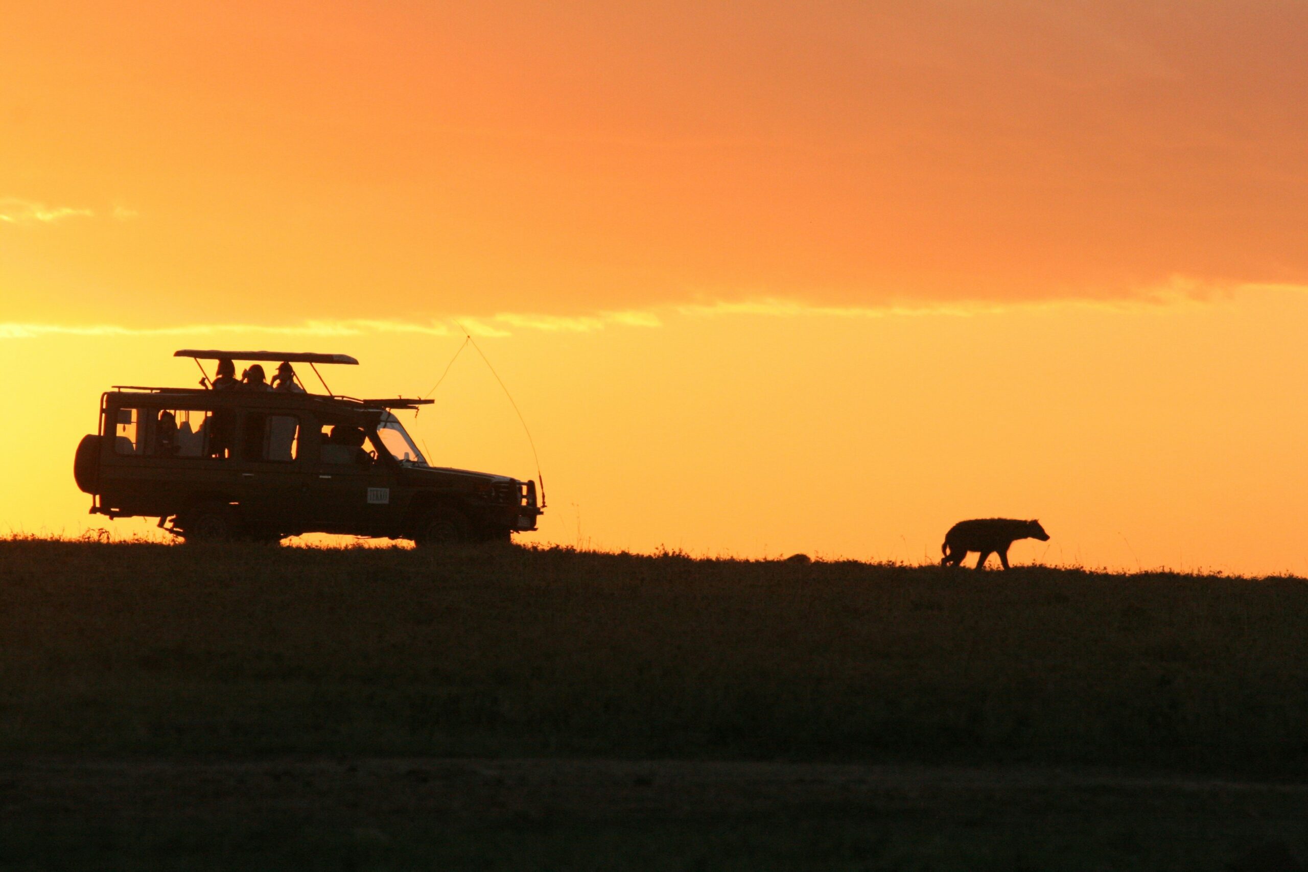 Safari in a Kenyan National Park