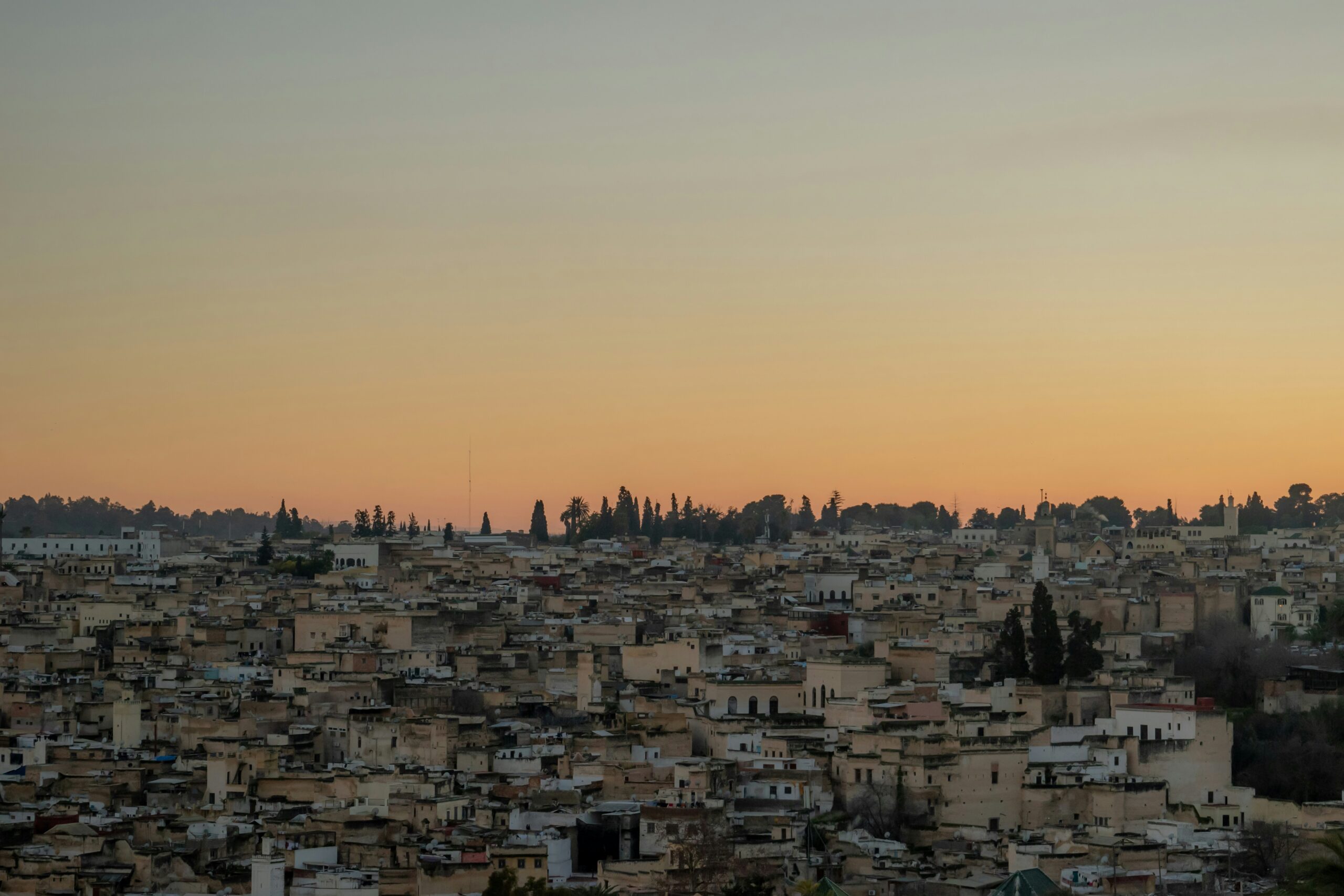 Medina of Fez