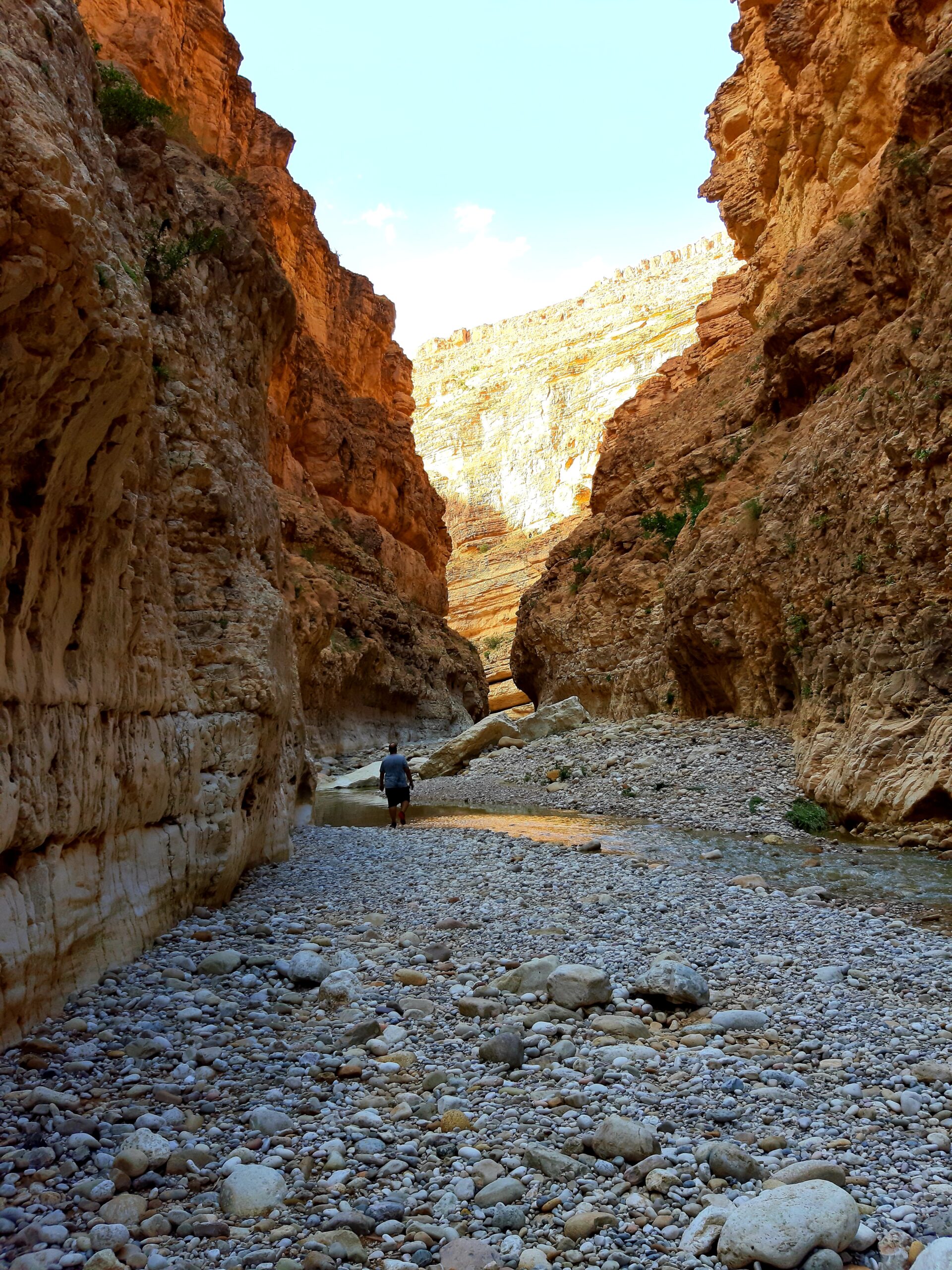 M'Chounech_Mountains_Biskra_Algeria_0